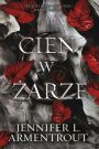 Cień w Żarze