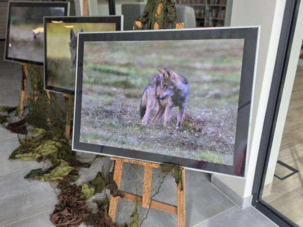 Zdjęcie Spotkanie z Jurkiem Napierałą - relacja