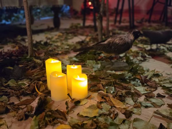 Zdjęcie Narodowe Czytanie 2026 - relacja
